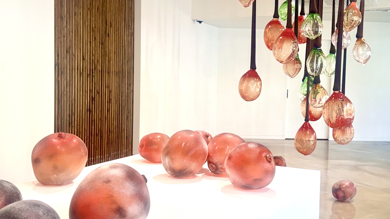 KakaoTalk_20251015_115636075_10